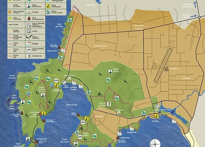 Solymar アルゲーロ